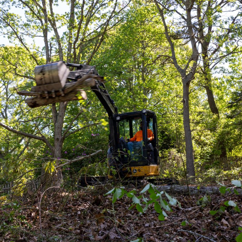 Excavator in a forest lifting a large log with its grapple amid trees, operator wearing orange vest nearby.