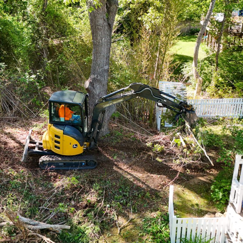 Yellow mini excavator trimming a tree in a backyard, with a white fence and dense greenery in the background.