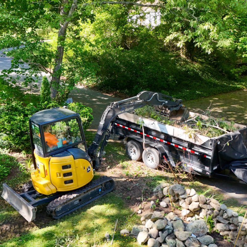 Small yellow compact excavator beside a black dump trailer loaded with branches, in a leafy, green yard setting.